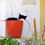 Beautiful 2 Bedrooms Sandover Private Pool Caminha