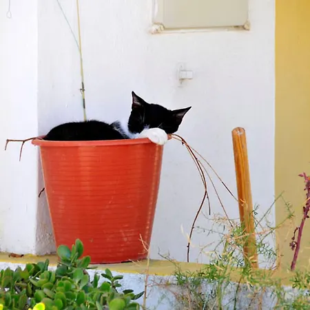 Beautiful 2 Bedrooms Sandover Private Pool Caminha