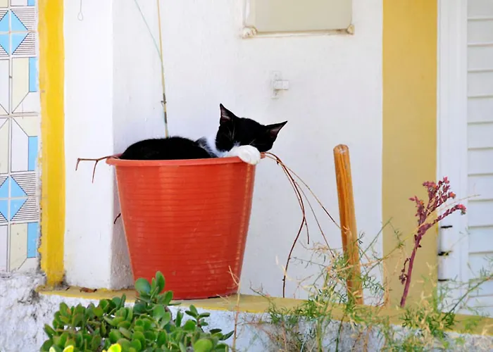 Beautiful 2 Bedrooms Sandover Private Pool Caminha